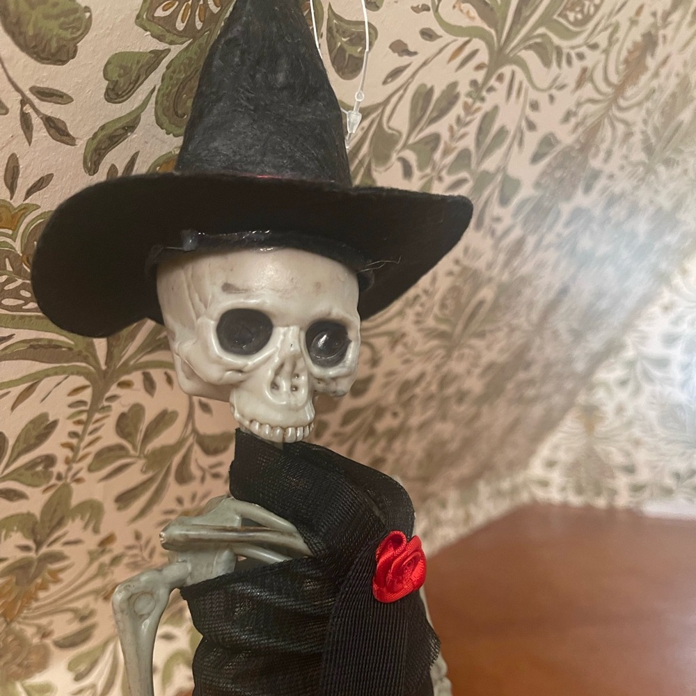 Halloween Skeleton - Picture 3 of 3